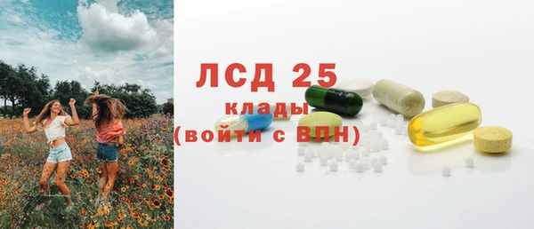 стафф Абинск