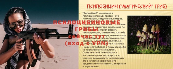 прущий лед Алексин