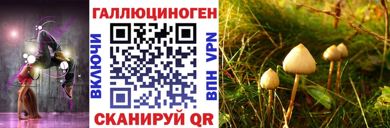 купить   Яхрома  Псилоцибиновые грибы Cubensis 